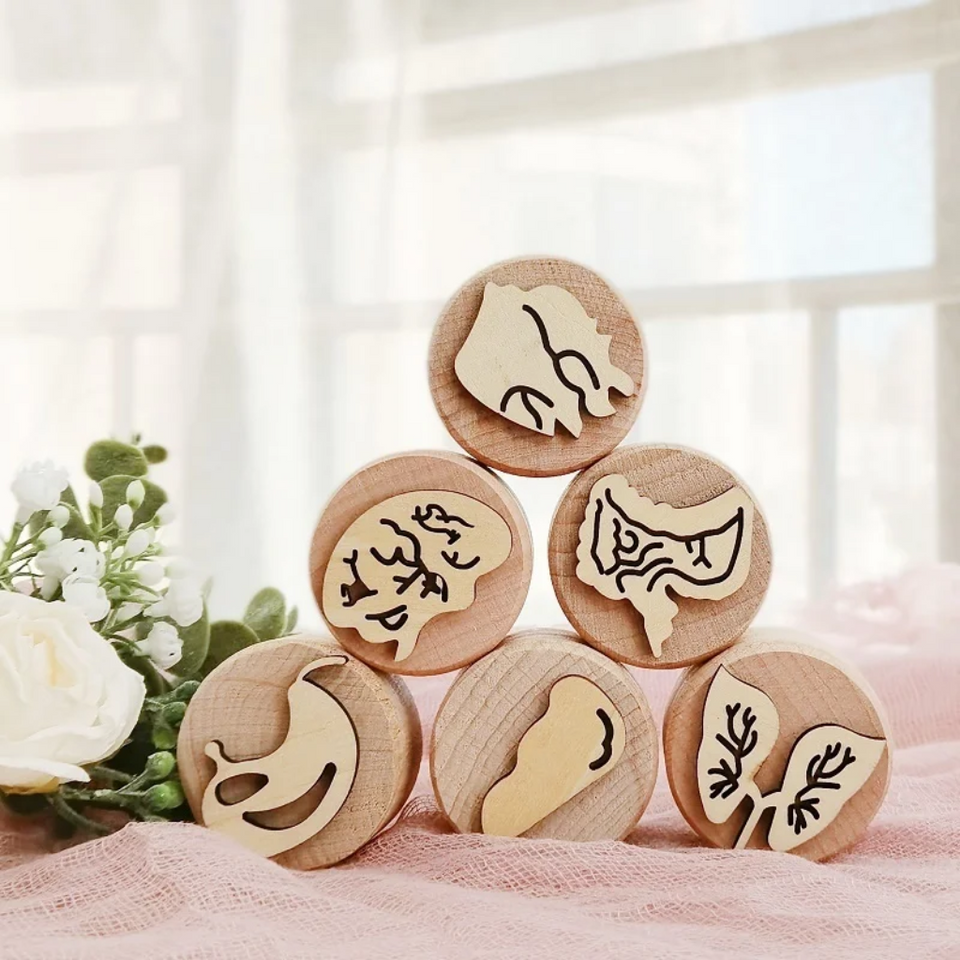 WoodStamp – Montessori & Kreativt – 6 st trästämplar för lera