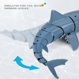 SeaBuddy – Kreativt & Aktivt – RC Haai