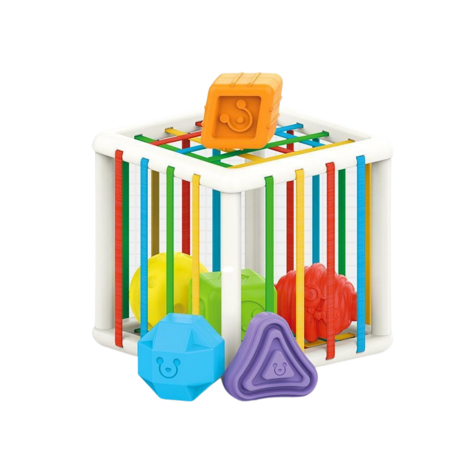 Sorting Cube™ - Sorteringskub - Utbildningskub