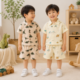 Dinosaur & Car Print Outfit – Tufft & lekfullt – Sommarklädset