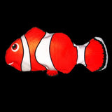 DreamFish™ - Sömnvänlig fisk - Drömfisk