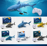 SeaBuddy – Kreativt & Aktivt – RC Haai