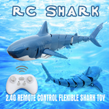 SeaBuddy – Kreativt & Aktivt – RC Haai