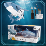SeaBuddy – Kreativt & Aktivt – RC Haai