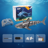 SeaBuddy – Kreativt & Aktivt – RC Haai