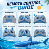SeaBuddy – Kreativt & Aktivt – RC Haai