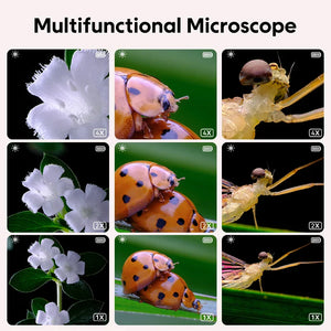 Mini Kids Microscope™ - Vetenskap under linsen - Mikroskop