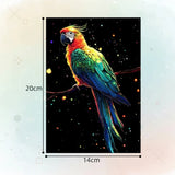 GlowArt – Glow-in-the-dark – Skrapkortsset