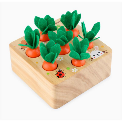 Carrot Game™ - Pedagogiska leksaker | Upptäck de olika storlekarna