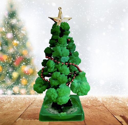 GrowTree™ | Odla din egen julgran! - Odlingsset för julgranar (1+1 GRATIS)